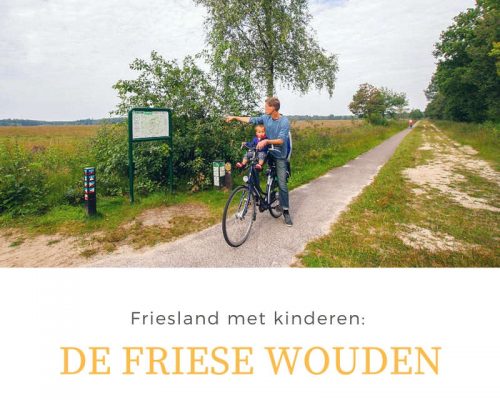 Wat te doen in Friesland met kinderen: De Friese Wouden